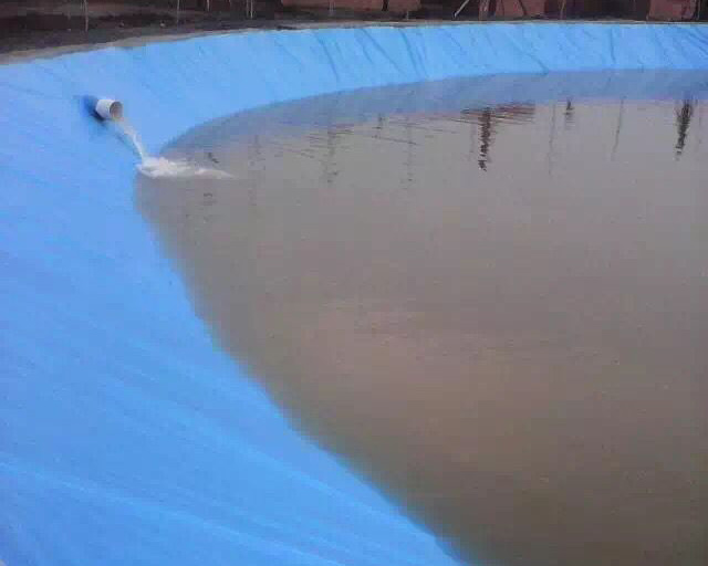 202011121037256931.jpg 202011121037256931.jpg